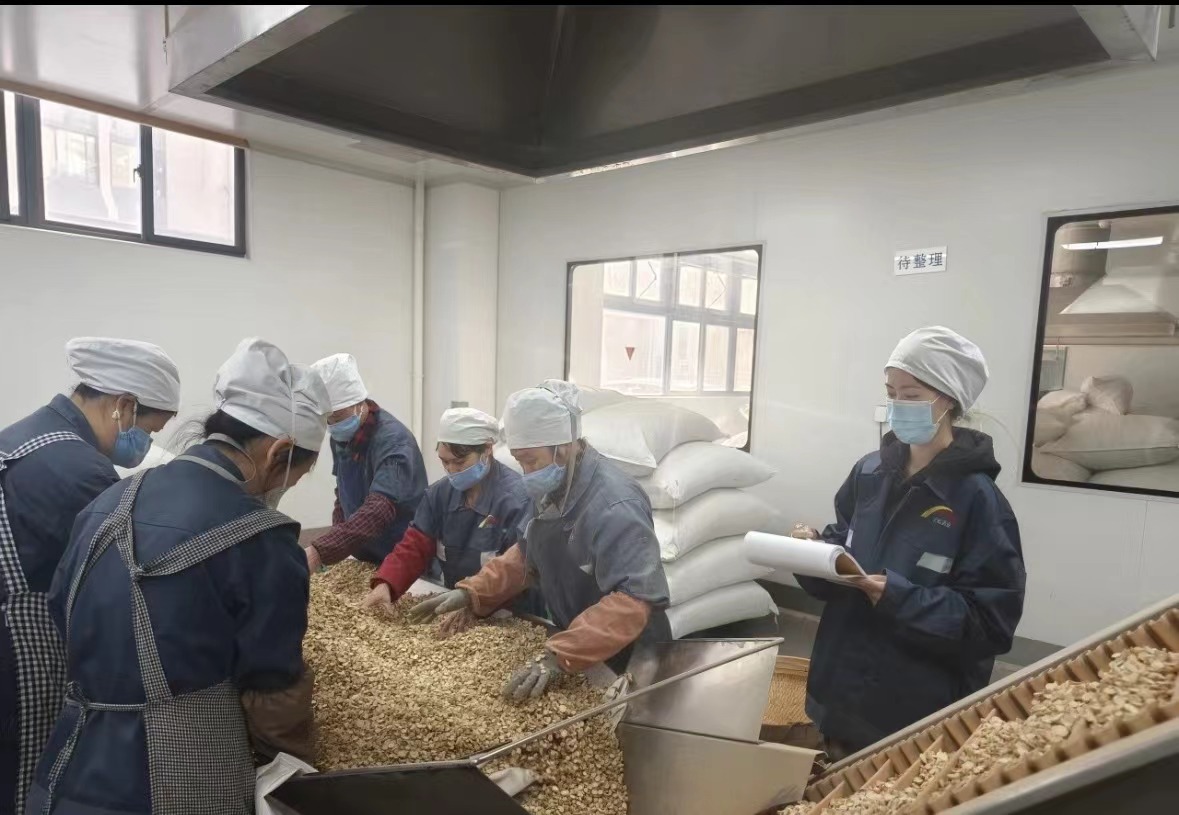 Qingdao Biohoer Biotech Co., Ltd. on ametlikult ehitust alustanud